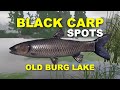 Russian Fishing 4 BLACK CARP SPOTS Old Burg Lake