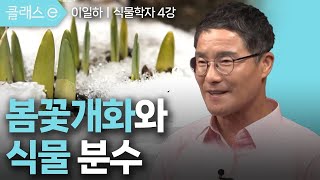 [클래스e] 이일하의 알수록 놀라운 식물의 세계 - 제4강 봄꽃개화와 식물 분수