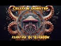 Cello & Dubstep - XZanthia OctoShroom