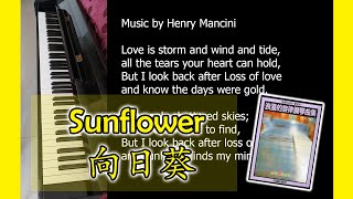 Sunflower 向日葵 | 浪漫的旋律钢琴曲集 Romantic melody piano collection