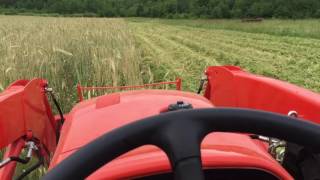 2015 Kubota L3301 Mowing Winter Rye