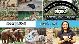 Exclusive: ಬನ್ನೇರುಘಟ್ಟ ಸಫಾರಿ ಹೇಗೆ.? ಏನು ವೀಕ್ಷಣೆ? | ಸಂಜೆವಾಣಿ ವಿಶೇಷ | Bannerghatta Safari