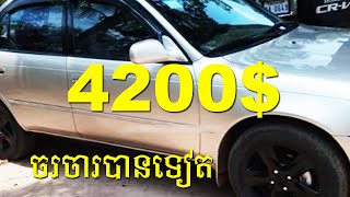 ឡានលក់បន្ទាន់ខ្លាំង, $4200,​ Toyota, Corolla, 95,Gold, ABS, តម្លៃចរចារបាន