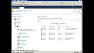 EIS - Accessing Content Properties and Settings