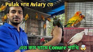 Exotic Bird Aviary In Agarpara 🔥 | Premium Quality Sun Conure, Albino Monk Parakeet, Etc.🤯