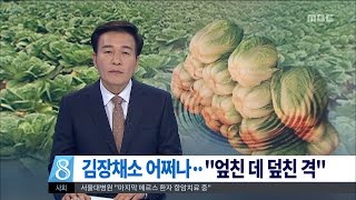 [대전MBC뉴스]김장채소 가뭄에 3중고..소비촉진 나서