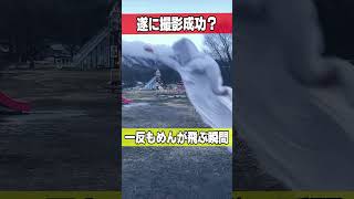 【衝撃映像】遂に捉えた！妖怪「一反もめん」の飛ぶ瞬間？#shorts #衝撃映像 #妖怪 #コメディ #爆笑 #面白 #フィクション #コント