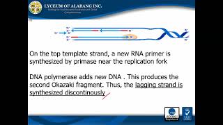 CENTRAL DOGMA