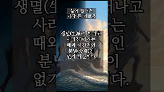 삶에 있어서 가장 큰 괴로움 - 진우스님의 오늘의 명상  #진우스님 #명언 #명상