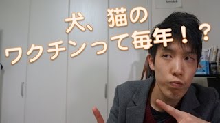 狂犬病ワクチンと伝染病ワクチンを打たないといけない理由