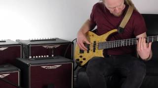 Ashdown AAA EVO 60 Bass Combo Demo - Dave Hollingworth