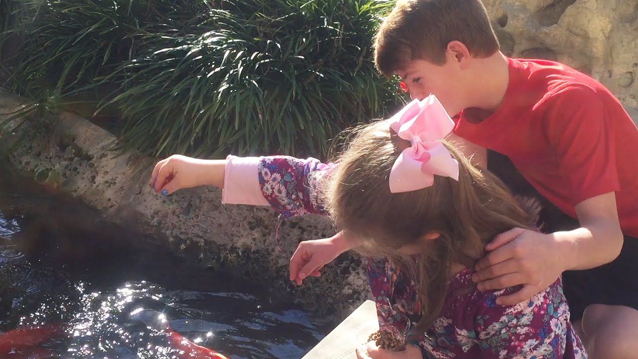 The Fish Pond! (Sarah & MattyBRaps) - YouTube