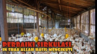 PENTINGNYA SIRKULASI UDARA DI KANDANG YANG PEMULA BELUM TAU