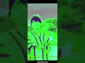 A.Chal - Vibrations