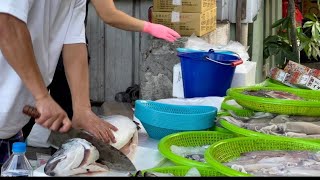 Obral Ikan Taiwan -Ikan Salmon Jadi favorit