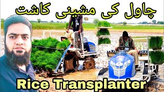 Rice Paddy Mechanize Farming چاول مونجی کی مشینی کاشت