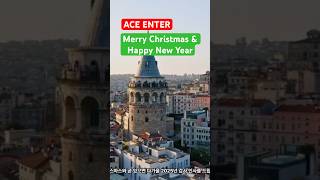 2025 해외이민 영주권 시민권 에이스엔터 merry christmas \u0026 happy new year 새해복 많이받으세요