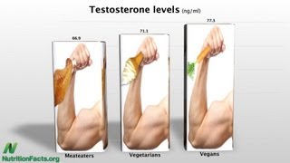 Protein Intake \u0026 IGF-1 Production