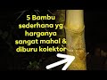 5 jenis #bambu sederhana yg harganya sangat #mahal &buruan para #kolektor