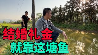 二哥捕魚，幾年的大魚基本還在，偷雞賊應該是熟人