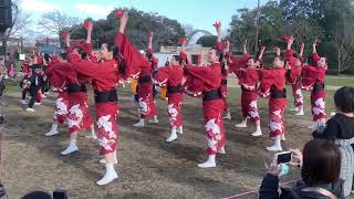 笑゛【車山場にかける】犬山踊芸祭〜絆プロジェクト  木曽三川公園センター　2回目　2024.3.3