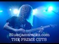 Bluesjamtracks.com - THE PRIME CUTS | JTCGuitar.com