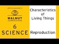 6 Science - Characteristics of living things - Reproduction