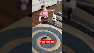 ## both are so cute 😍😊🤣 #small cat vs cute baby 😁😁😁 short whatsapp status video #shorts #viral(5)