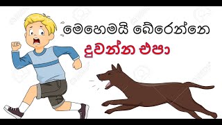 බල්ලෙක් හපන්න අවොත් බේරෙන්න මේ දේවල් කරන්න - How to defend against a dog attack sinhalen