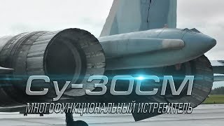 Многофункциональный истребитель Су-30СМ