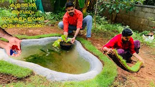 കുളത്തിൽ ആമ്പലും ഗിപ്പികളും ചുറ്റും പുല്ല് വിരിച്ച് ഭംഗിയാക്കി /beautiful bond making