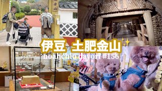 【愛犬と旅行🐾2024】【50代】伊豆✨土肥金山⛏