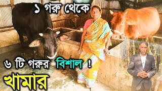 বললেন প্রান্তিক খামারী দুধ বিক্রি করে গরুর খাবার হয় আমার খাবারও হয়। Village Cow Farm, Sayed Ahmmed