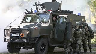 AMZ Dzik: Poland's Versatile Armored Workhorse for Modern Military and Policing Operations