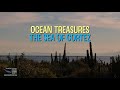 ocean treasures the sea of cortez