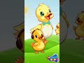 كاكى كاك 🐣 | اغاني اطفال 🐥 | بيبي | بطة أطا الانتيكا #سوبر_ديدو #kidsshorts