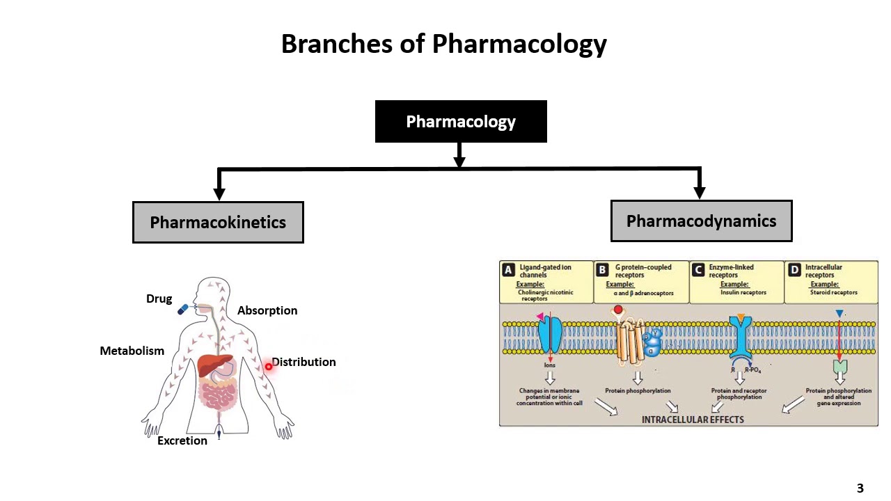 Chapter 01 Introduction And Pharmacokinetics Lecture 1 - YouTube