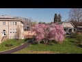 swarthmore college campus drone video spring 2021 4k