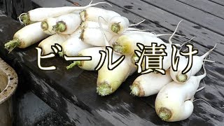 大根 レシピ　大根 漬物  大根ビール漬け　Radish recipe radish pickles radish beer pickles