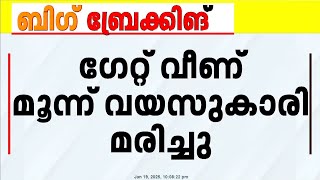 മലപ്പുറത്ത് ഗേറ്റ് ദേഹത്തേക്ക് വീണ് മൂന്നു വയസുകാരിയ്ക്ക് ദാരുണാന്ത്യം