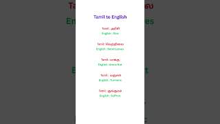 Tamil Conversation Secrets Exposed By Language Expert