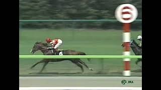 マヤノトップガン 1995年 やまゆりステークス(4歳900万下)  (優勝馬：マヤノトップガン) (実況：ラジオたんぱ版)