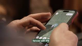 How Halter’s virtual fencing helps cattle and ranchers | Mushrush Ranch