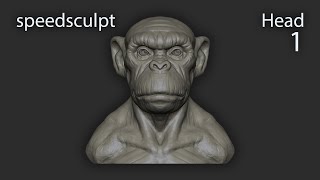 Head 1. Speed Sculpt.