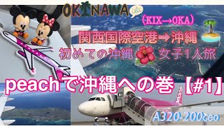 #フライトレビュー#女子旅　関西国際空港→那覇空港【peachで沖縄への巻#1】#搭乗レビュー#関西弁