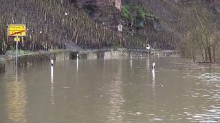 Hochwasser an der Mosel