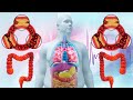 432 Hz - Whole Body Regeneration + Full Body Healing + Emotional AND Physical Healing