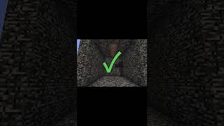 How far can an Wither endure #minecraft #minecraftshorts #shorts #short #mojang #wither #java