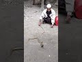 আমার সা প ধরা*র ভিডিও snake video in bangladesh. rahimshortsbd snake