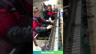 Factory Workers: The Precision of Assembly Line Production #factorywork #assembly #dedication